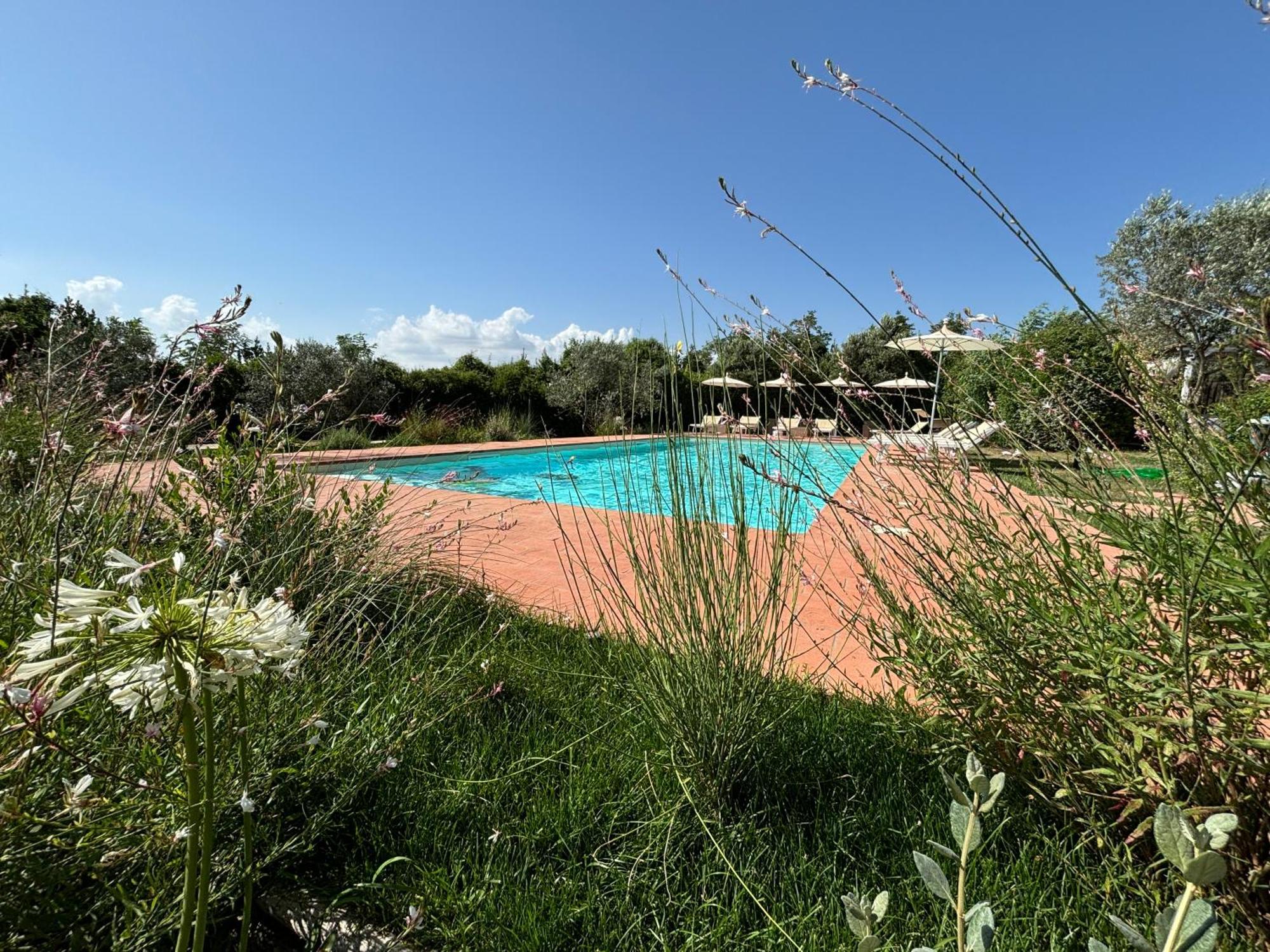 Nonna Nara Bed & Breakfast Grosseto Eksteriør bilde