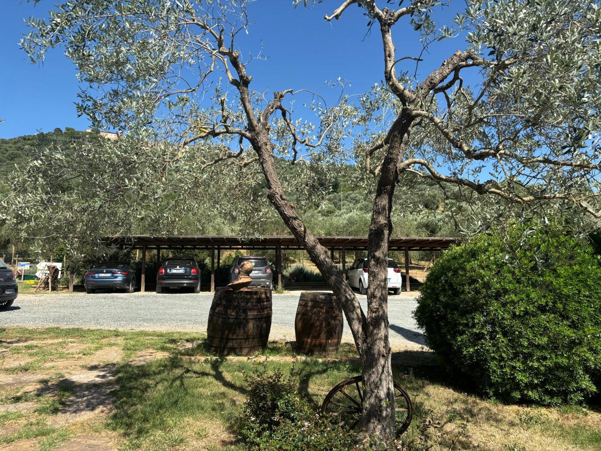 Nonna Nara Bed & Breakfast Grosseto Eksteriør bilde
