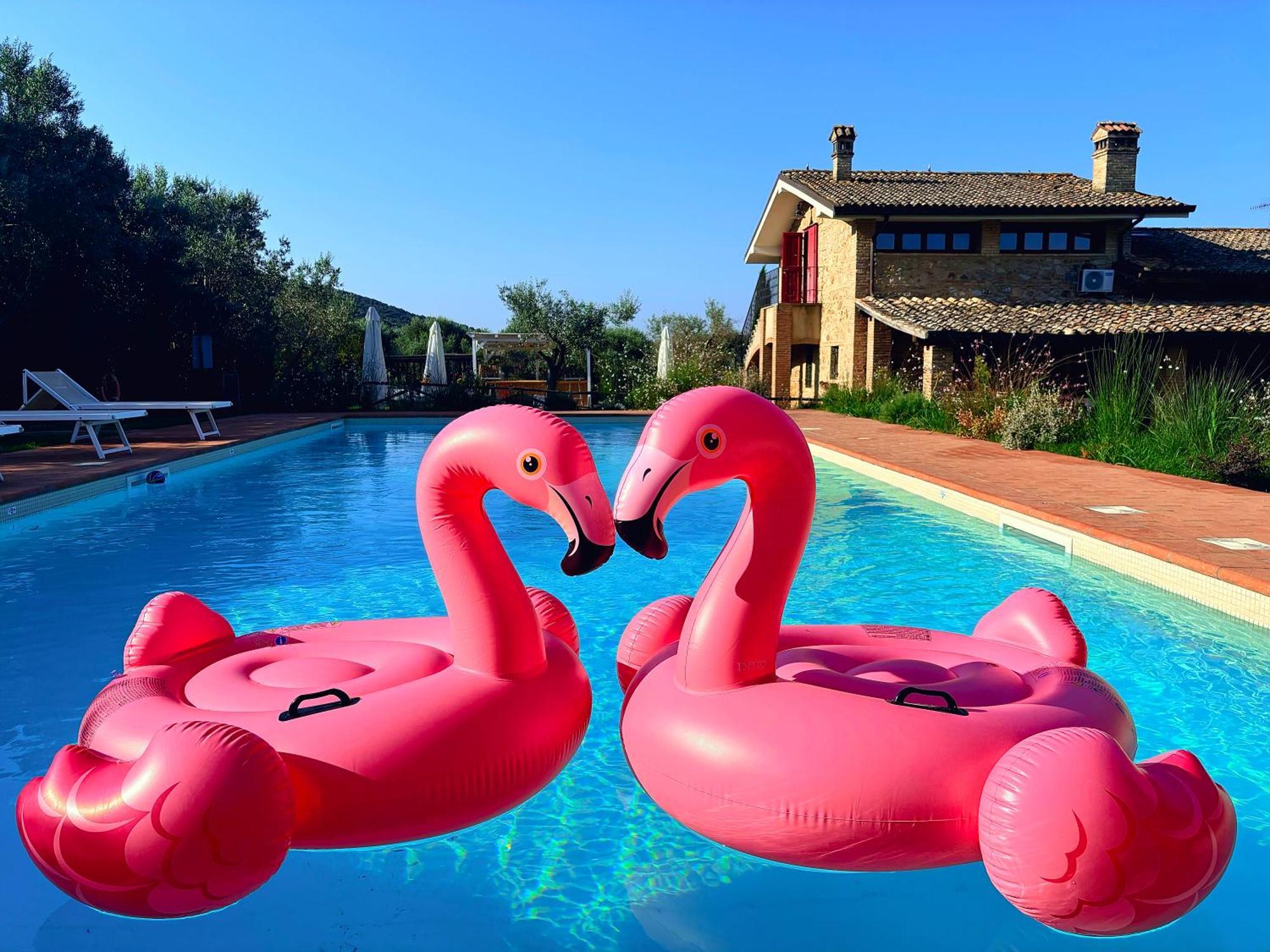 Nonna Nara Bed & Breakfast Grosseto Eksteriør bilde