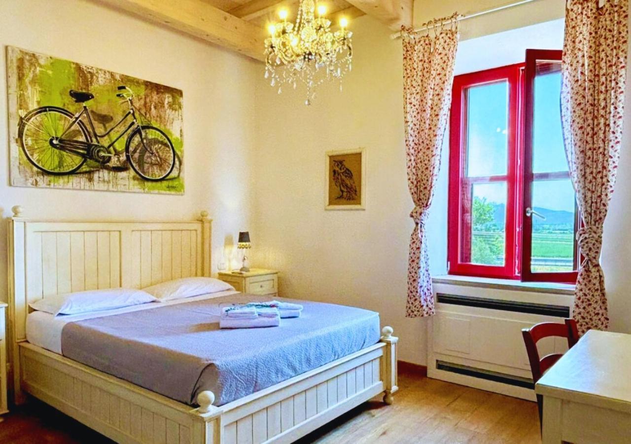 Nonna Nara Bed & Breakfast Grosseto Eksteriør bilde