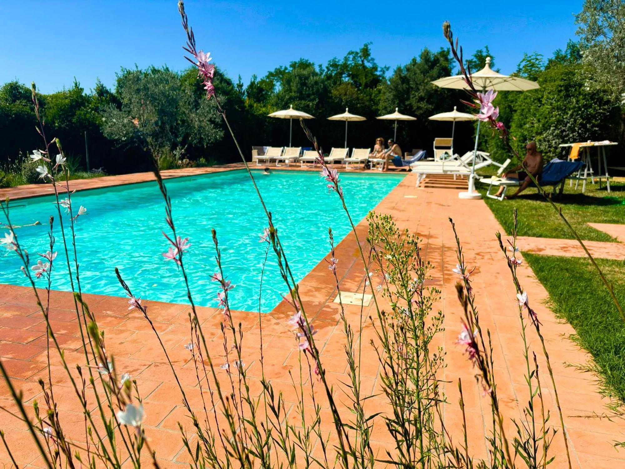 Nonna Nara Bed & Breakfast Grosseto Eksteriør bilde