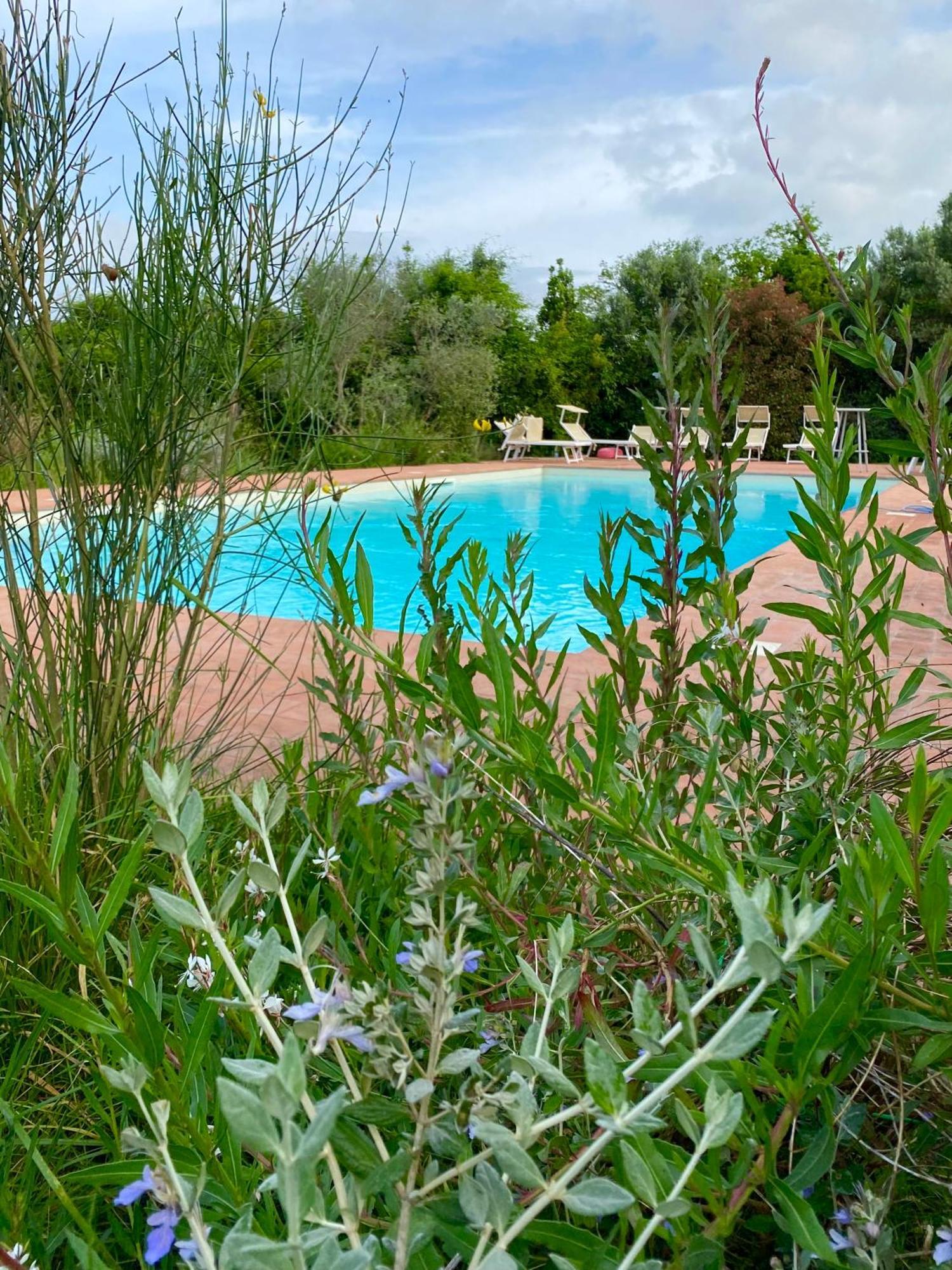 Nonna Nara Bed & Breakfast Grosseto Eksteriør bilde