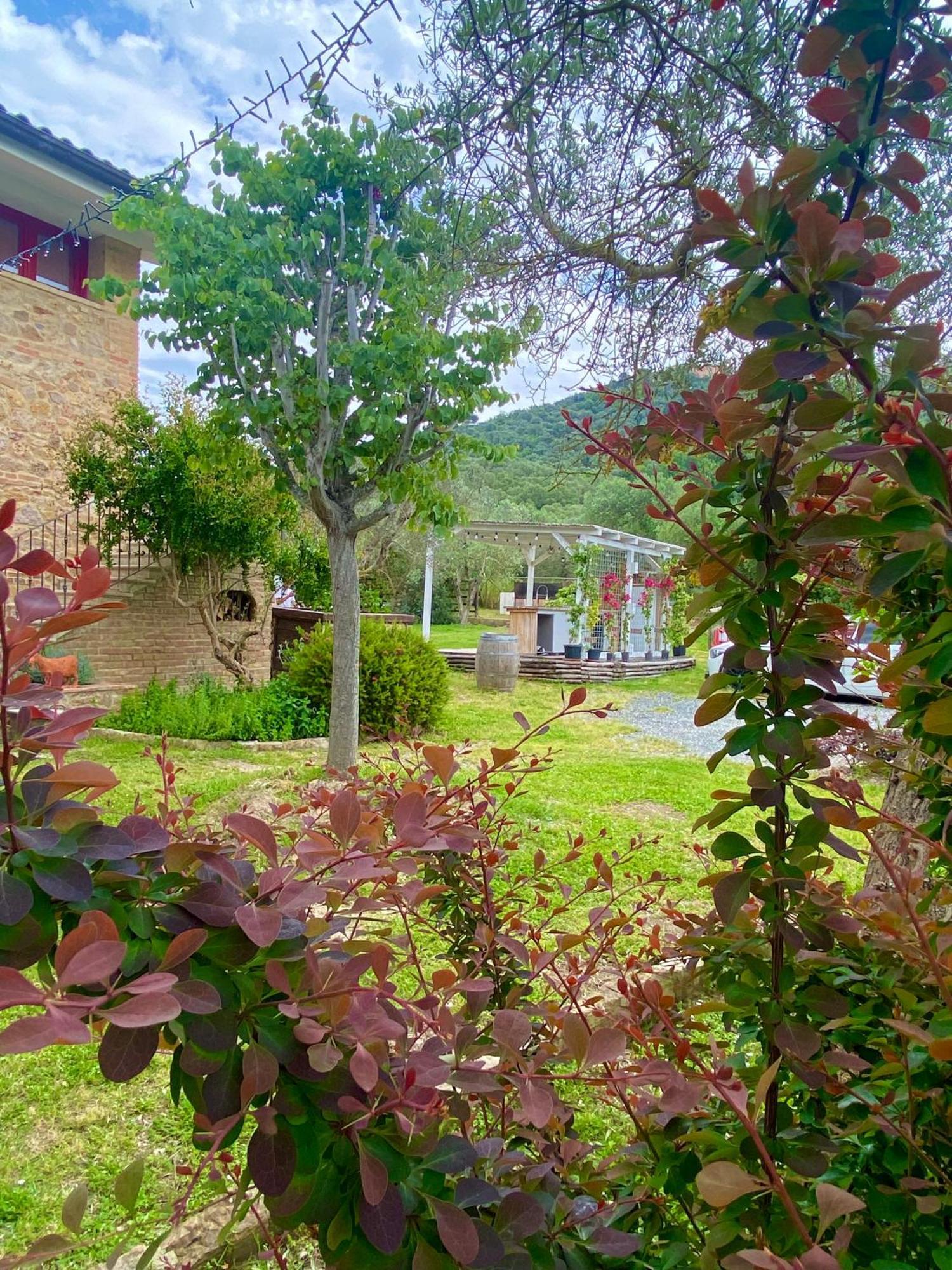 Nonna Nara Bed & Breakfast Grosseto Eksteriør bilde